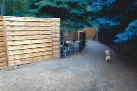 Hundepension Fleckifarm