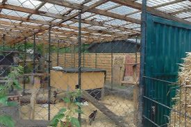 Fleckifarm in Cottbus