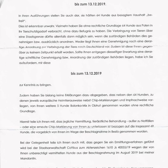 Zeugenaussagen